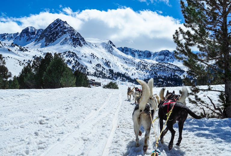 Scenic view of husky dog sledding in El Pas de la Casa, Andorra's snowy landscape.