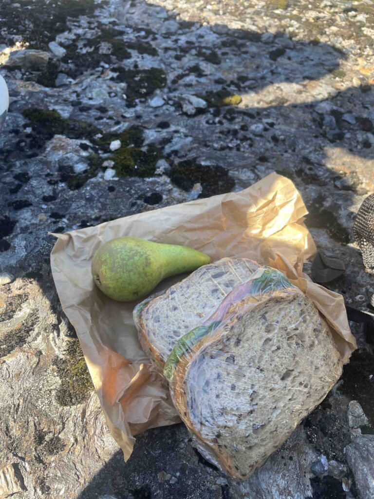 two wrapped sandwiches and a green pear on a brown paper bag sitting on a rock