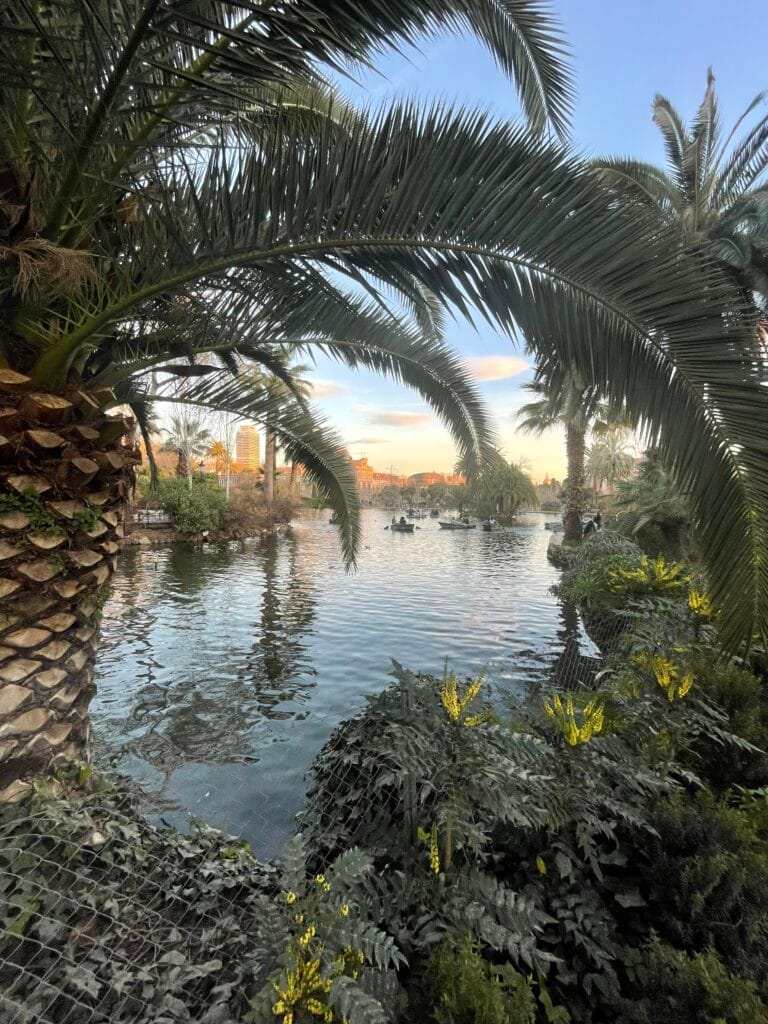 beautiful Spanish lake through the trees